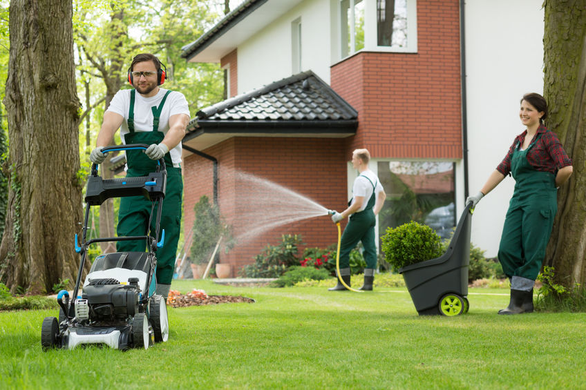 Creating and Maintaining a Lush Lawn: Essential Tips for Gold Coast Residents