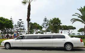 Elevate Your Experience: The Best Limo Services in Florida’s Sunshine State
