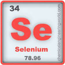 Enhance Your Selenium Projects with Professional Support Services